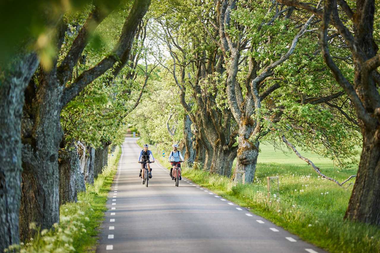 Cyklar du Unionsleden? Hjälp oss genom att svara på några frågor